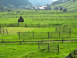 Луга возле Паначи