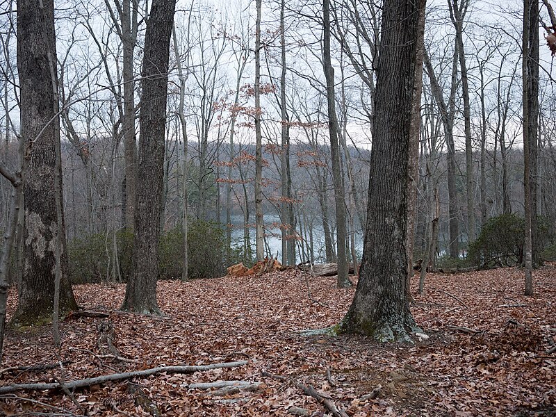 File:Ragged Mountain Reservoir Hike (5364381170).jpg