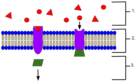 Reseptor (biokimia)