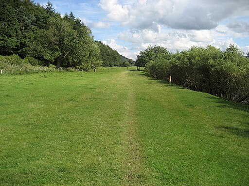 Riverside Path by Lower Cliff Wood - geograph.org.uk - 2060397
