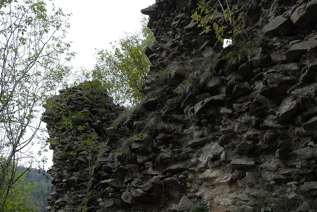 Château du Rosemont