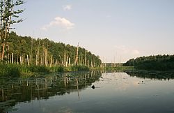 řeka Rospuda