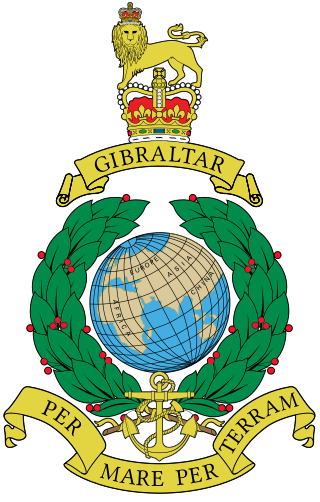 <span class="mw-page-title-main">Royal Marines Reserve</span> Military unit