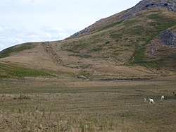 Il paesaggio del parco