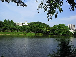 Saitama Shirahata Swamp 1.JPG