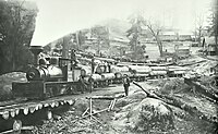 Sequoia Railroad 1891. C.C. Curtis. USA, 1891.[2]: 92 
