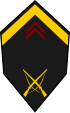 Senegal-Armee-OR-5.svg