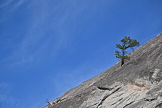 The steep side of Sentinel Dome