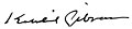Signature of Kahlil Gibran.jpg