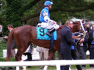 <span class="mw-page-title-main">Smarty Jones</span> American-bred Thoroughbred racehorse