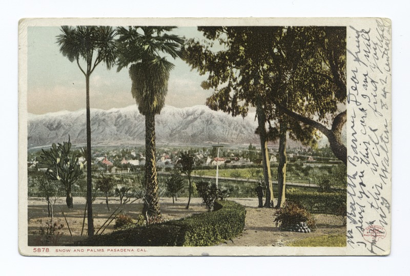 File:Snow and Palms, Pasadena, Calif (NYPL b12647398-62306).tiff