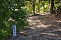 祖母神社境内にある鎌倉街道（刈谷市）