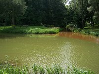 Spreewitz - Zusammenfluss von Großer und Kleiner Spree