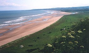 St Cyrus Beach