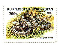E. dione on stampf of Kyrgyzstan