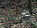 Čeština: Náhrobky na starém židovském hřbitově ve městě Brtnice, okres Jihlava. English: Gravestones in the old Jewish cemetery in the town of Brtnice, Jihlava District, Vysočina Region, Czech Republic. This is a photo of a cultural monument of the Czech Republic, number: 27342/7-4765. Památkový katalog  · MIS  · hledat obrázky  · hledat seznamy  · Wikidata