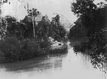 Moggill Creek, 1890 (possibly taken during Field Naturalists' excursion in December 1890) StateLibQld 1 91224 Moggill Creek, Brookfield, 1890.jpg