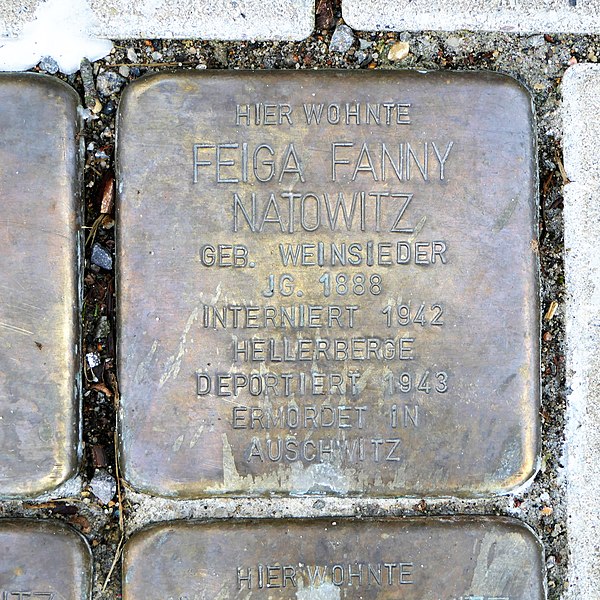 File:Stolperstein für Feiga Fanny Natowitz, Pestalozzistrasse 17, Dresden.JPG