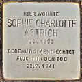 Stolperstein für Sophie Charlotte Astrich (Lübben).jpg
