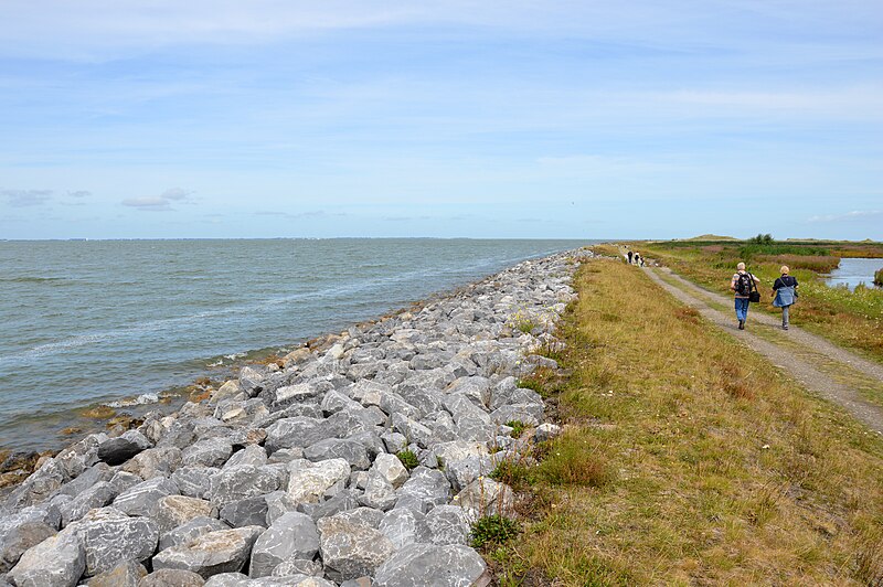 File:Stone dike along the west coast, Marker Wadden, 2022.jpg