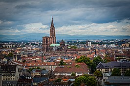 Uitzicht op de kathedraal van Straatsburg