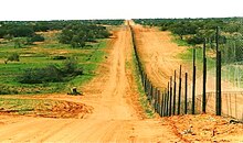 Dingo Fence on the 29th parallel of latitude. Sturt National Park (right of fence) – looking east from Cameron Corner after a heavy rainfall