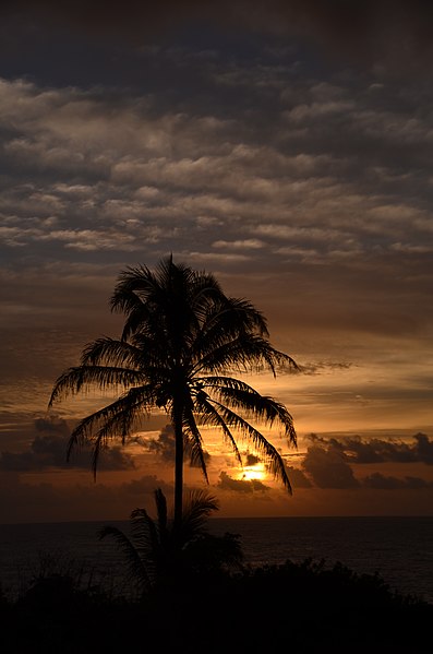 File:Sunrise in Puna (a0005233) - panoramio.jpg