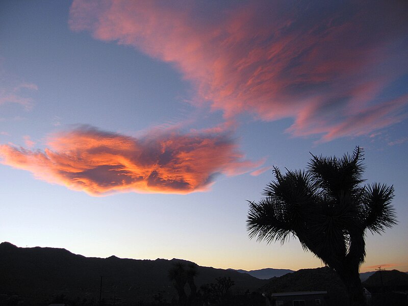 File:Sunset cloud (12490080734).jpg