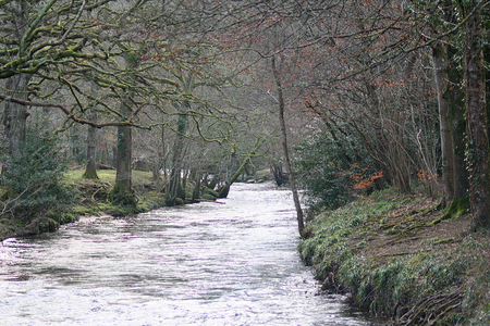 Teign at Dunsford