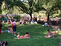 Tompkins Square Park is the recreational and geographic heart of the East Village. It has historically been a part of counterculture, protest and riots. Tompkins Square Park Central Knoll.jpg