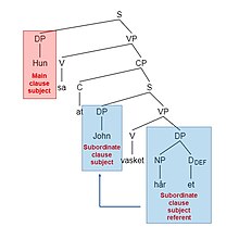 Illustration of (30a): locality with a body part noun in Norwegian in which the noun is bound by the closest subject. 'Haret' is the subordinate clause subject referent and 'John' is the subordinate clause subject. (Lodrup 2014: 47) Tree 29a.jpg