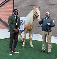 Reggie Bush posing with the USFL's Birmingham Stallion's mascot in 2022 USFL Mascot.jpg