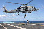 Vignette pour Sikorsky SH-60 Seahawk