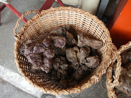 Harvested purple yam tubers