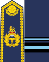 Yhdistynyt kuningaskunta-Air force-OF-7-collected.svg