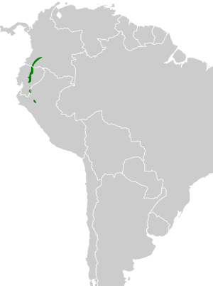 Urochroa leucura map.svg