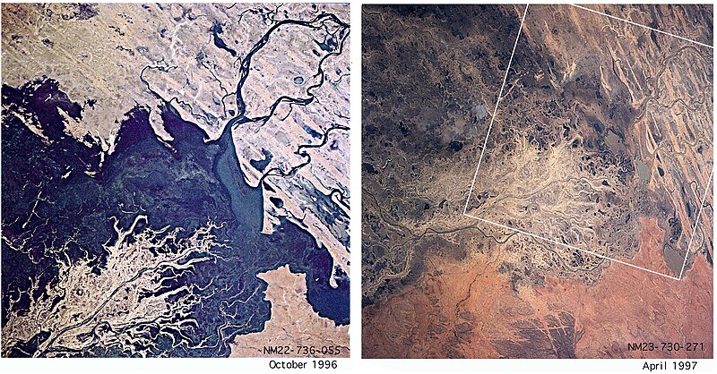 File:Vegetation Change Wet-Dry Season Niger Inland Delta.jpg