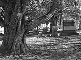 View in Lebanon Church Cemetery, West Mifflin