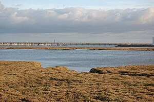 View from Canvey Island to Lower Horse Island, which runs as a strip of land in the center of the picture