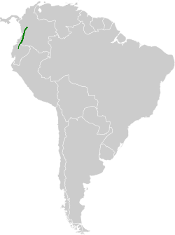 Distribución geográfica del vireo del Chocó.