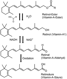 Vitamin-A-Synthese.png