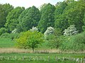 Kleinteilige Landschaft mit hoher Artenvielfalt