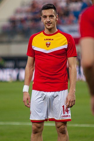 <span class="mw-page-title-main">Vukan Savićević</span> Montenegrin footballer