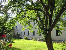 Schwarze Maulbeere, Baum hinter der Hochschule für Musik in Weimar.