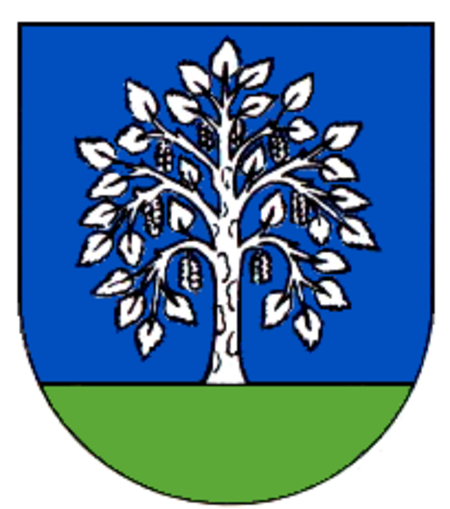 Wappen Birkendorf