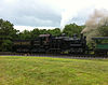 Western Maryland Shay 6 na Cass Scenic Railroad.JPG