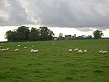 Wheatrig farm in 2007 Wheatrig farm.JPG