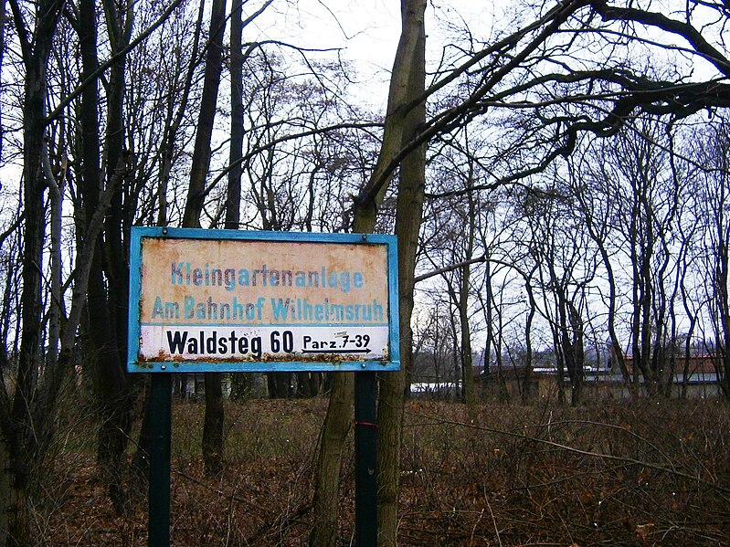 File:WiRuh (22) Waldsteg.JPG