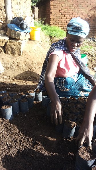 File:Women's Agraculture group, kahawa day, img 1.jpg