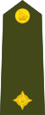 Zimbabwe-Army-OF-1a.svg